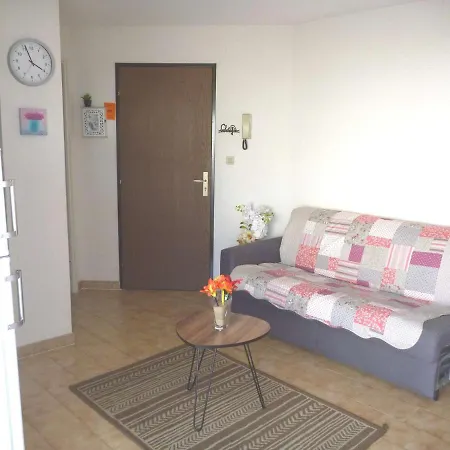 2 Pieces Avec Acces Direct Plage, Terrasse Et Parking - Fr-1-387-146 アグド