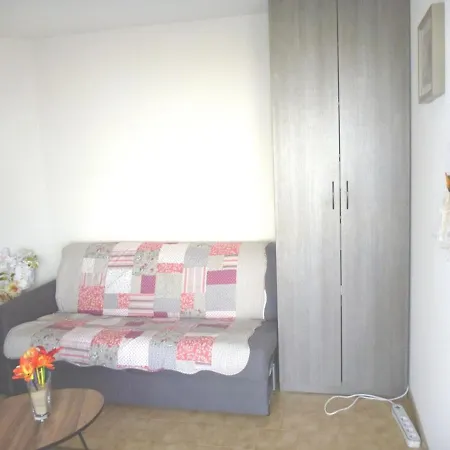 Apartment 2 Pieces Avec Acces Direct Plage, Terrasse Et Parking - Fr-1-387-146 *