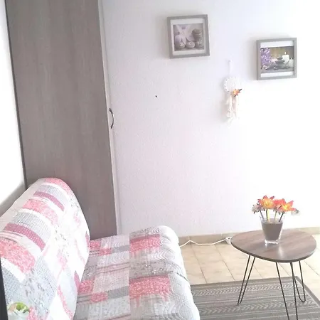 Apartment 2 Pieces Avec Acces Direct Plage, Terrasse Et Parking - Fr-1-387-146 Agde