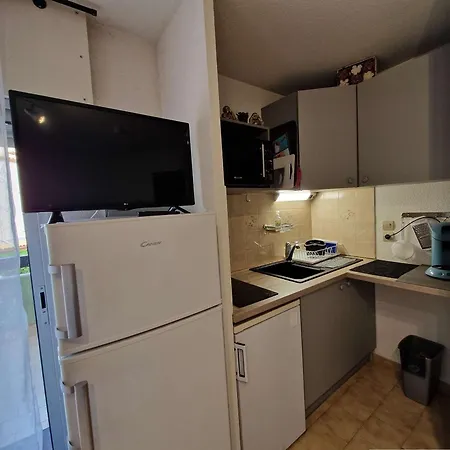 Apartment 2 Pieces Avec Acces Direct Plage, Terrasse Et Parking - Fr-1-387-146